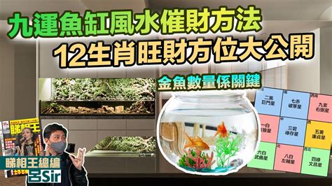 魚缸方位2023|【2023風水魚缸佈局】2023年風水魚缸佈局大公開！兔年魚缸擺。